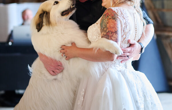 The wedding of Jenna And Jesse Wedding | The Shed @ Halfway Crossing | Rice Mn Gallery 11