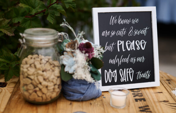 The wedding of Jenna And Jesse Wedding | The Shed @ Halfway Crossing | Rice Mn Gallery 8