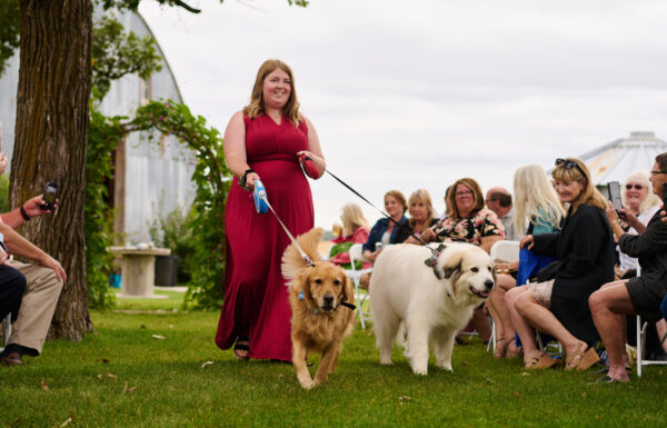 The wedding of Jenna And Jesse Wedding | The Shed @ Halfway Crossing | Rice Mn Gallery 32