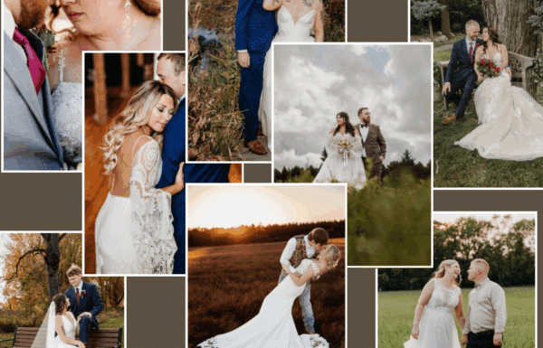Photographer Category Vendor AmberLynnphotography