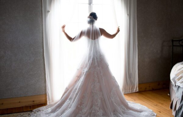 Nicole Hollenkamp Portrait Studio