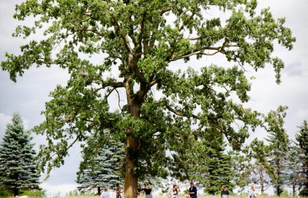 Pleasant Pastures Weddings and Events