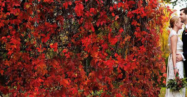 Craig Dirkes Photography