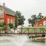 WedNorth Weddings