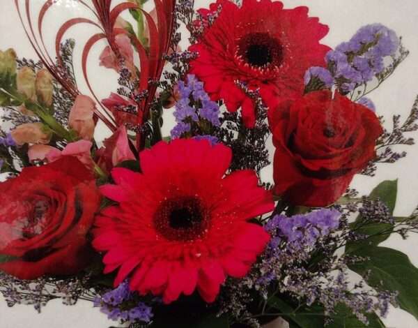 Coborns Floral