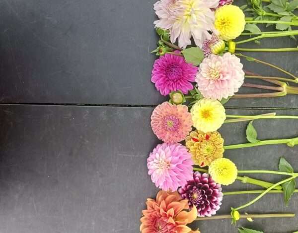 The Florwegian Flower Farm