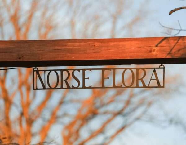 Norse Flora And Events