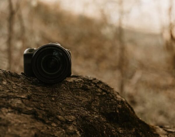 Amber Lynn Photography
